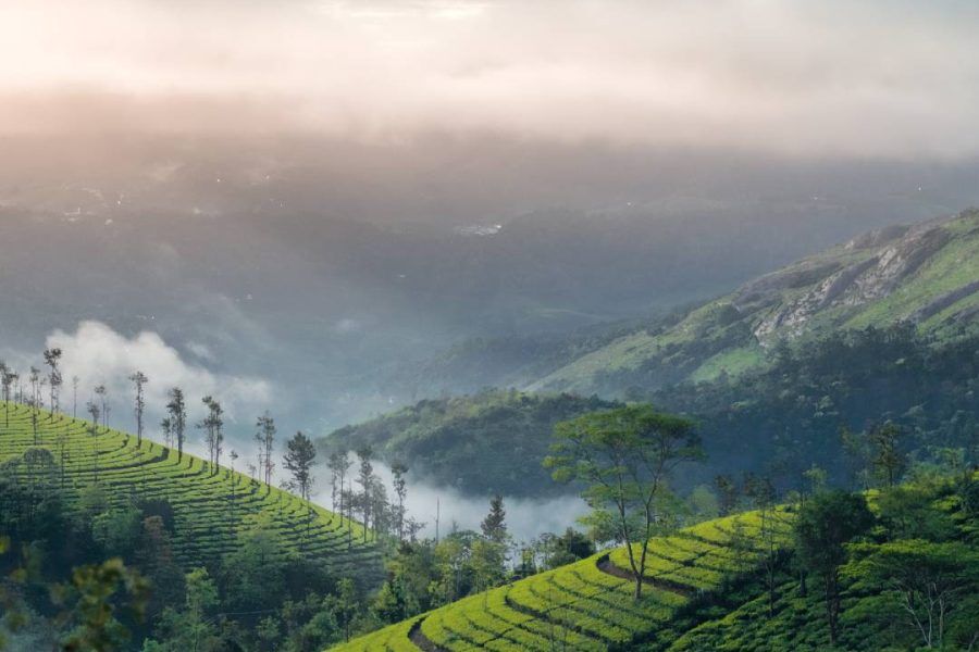 3N/4D KERALA PACKAGE
